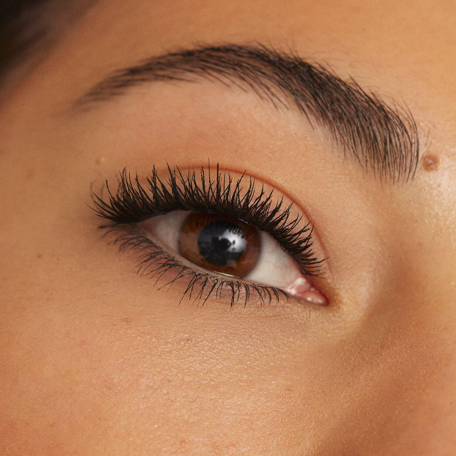 The 24H Level Up (Mascara de pestañas)